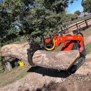 Houston Arborists Timber Hauling with Skid Steer Loader