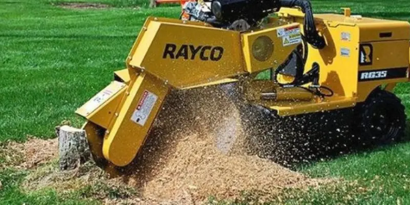 Stump Chipping and Mulching