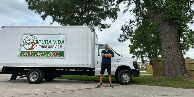 Tree Service In Houston