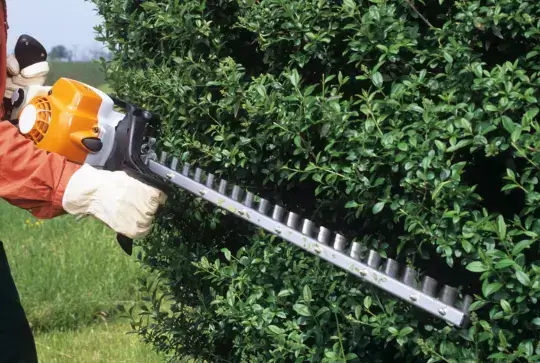 Tree Trimming