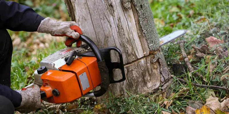 Houston tree removing