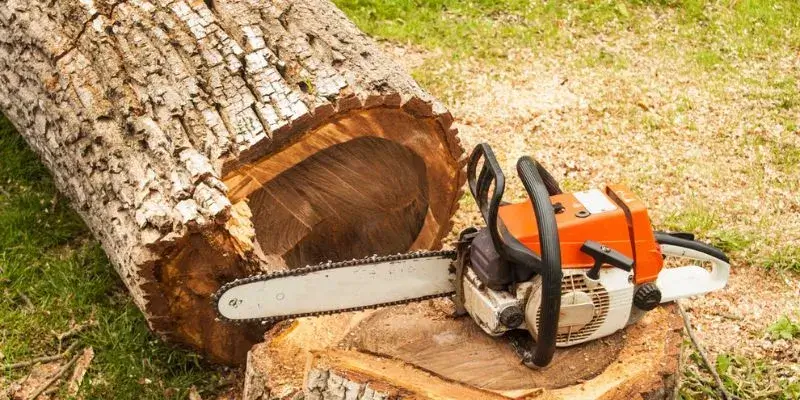 Tree removing in Houston