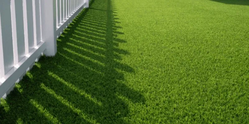 Can Synthetic Turf and Trees Coexist